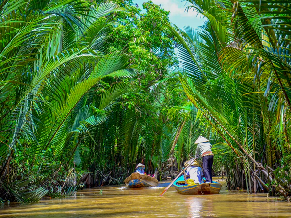 Paddelboote Mekong-Delta Vietnam