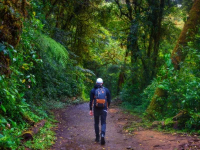 Ein Mann spaziert auf einem Pfad in Monteverde, Costa Rica