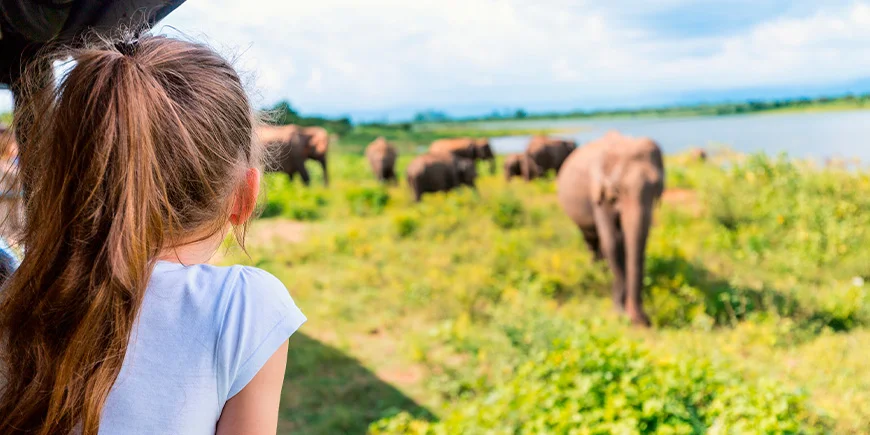 Mädchen auf Safari in Udawalawe