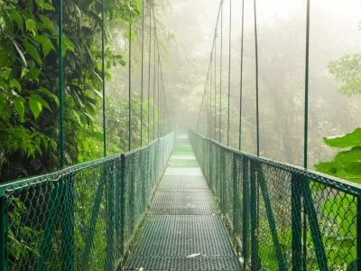 Hängebrücke in Monteverde