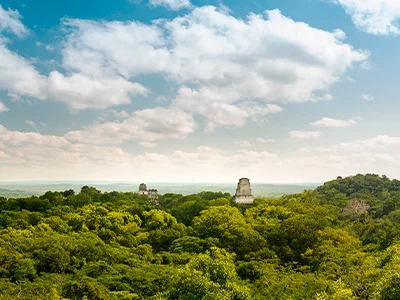 Überblick über den Tikal-Nationalpark mit Ruinen und Regenwald